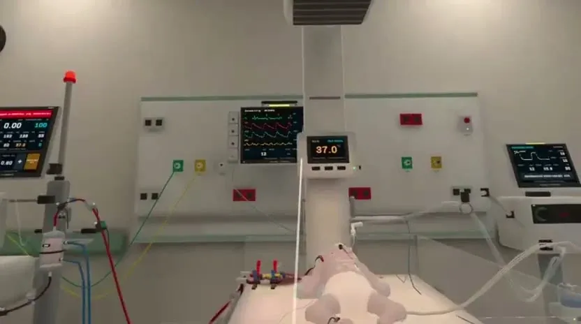 A first-person VR frame showing the virtual patient and the clinical equipment.